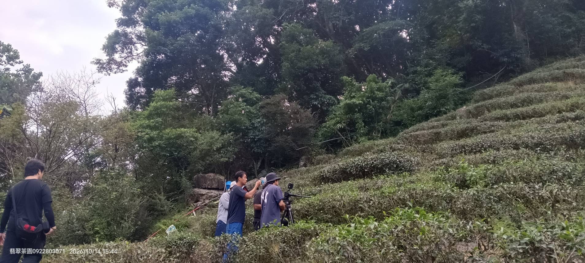 文章配圖